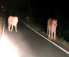 Majha 20-20 | माझा 20-20 | महत्त्वाच्या बातम्यांचा आढावा | ABP Majha