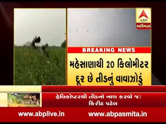 મહેસાણા સતલાસણ ગામમાં પહોંચ્યુ તીડનું ઝૂંડ, જુઓ ABP અસ્મિતાનો અહેવાલ