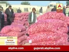 રાજકોટના નવા માર્કેટિંગ યાર્ડમાં ડુંગળીની હરાજીના શ્રીગણેશ, જુઓ વીડિયો