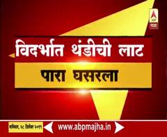 Chandrapur | विदर्भात थंडीची लाट, पारा घसरला | ABP Majha