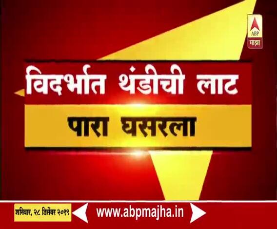 Chandrapur | विदर्भात थंडीची लाट, पारा घसरला | ABP Majha