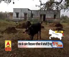 बलिया में सरकारी स्कूल बना भैंसों का तबेला