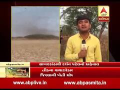 સાબરકાંઠા જિલ્લામાં તીડનો આતંક, જુઓ ગ્રાઉન્ડ રિપોર્ટ