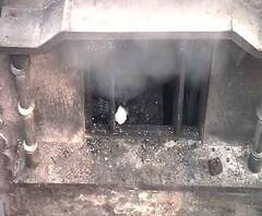 দিল্লির বহুতলে চামড়ার কারখানায় বিধ্বংসী আগুন, মৃত অন্তত ৩৫