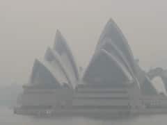 Sydney के जंगलों में लगी भीषण आग, घुट रही हैं लोगों की सांसे, घर से बाहर खेलने पर लगी रोक