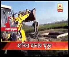 আলিপুরদুয়ারে দাঁতালের আক্রমণে মৃত্যু বৃদ্ধের, আর্থিক সাহায্যের আশ্বাস বন দফতরের