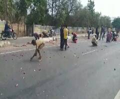 Onion Truck Theft | गुजरातच्या राजकोटमध्ये ट्रकमधून पडलेल्या कांद्यावर नागरिकांचा डल्ला | ABP Majha