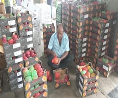 African Mango | आफ्रिकेतील लाल आंबा नवी मुंबईच्या एपीएमसी मार्केट दाखल | ABP Majha