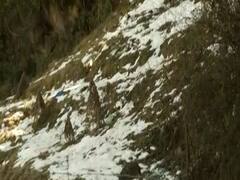 बर्फ की चादर में ढकी Dhanaulti की वादियां, पर्यटक उठा रहे सर्दी का लुफ्त