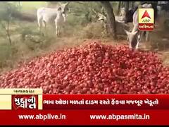 મુદ્દાની વાતઃ કેમ ખેડૂતો દાડમ રસ્તા પર ફેંકવા બન્યા મજબૂર? જુઓ ખાસ અહેવાલ