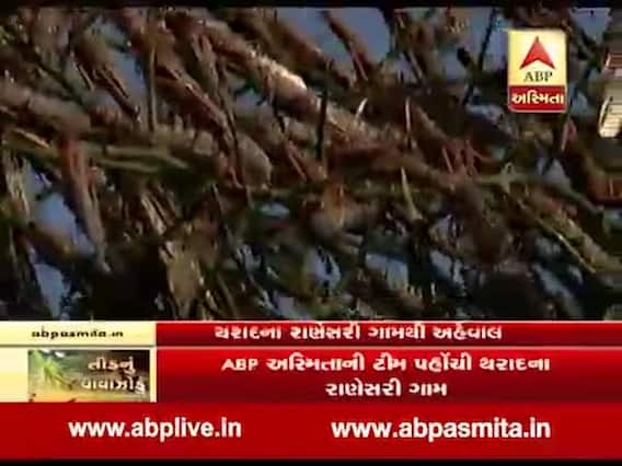 બનાસકાંઠાઃ તીડના આક્રમણ મુદ્દે થરાદના રાણેસરીથી ખાસ અહેવાલ, જુઓ વીડિયો
