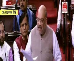 'পাকিস্তান, বাংলাদেশ, আফগানিস্তান থেকে যে সমস্ত মুসলিম এসেছে প্রত্যেককে নাগরিকত্ব দিলে দেশ কী করে চলবে?' রাজ্যসভায় প্রশ্ন অমিত শাহের