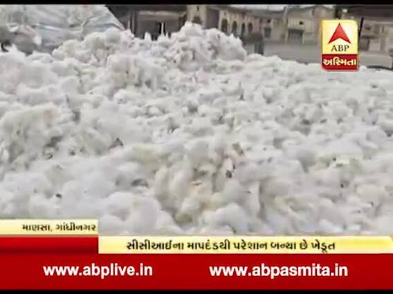 માણસા: કપાસની ખરીદીમાં CCIના માપદંડથી ખડૂતો પરેશાન, જુઓ વીડિયો 