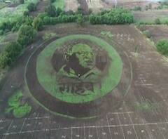 Sharad Pawar | शरद पवारांच्या वाढदिवसाला हटके शुभेच्छा, साडेचार एकरावर ग्रास पेंटिंग | ABP MAJHA