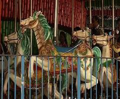 Reporter Stories: বছরের শেষ দিনে কচিকাঁচাদের ভিড় নিক্কো পার্কে, পিছিয়ে নেই বড়রাও