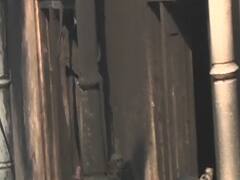 Delhi Fire: Central Delhi के Filmistan की संकरी गलियों का हाल, जहां गई 43 लोगों की जान