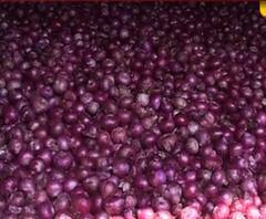 Onion Price Hike | 21 हजार मेट्रिक टन कांदा आयात करण्याचा केंद्र सरकारचा निर्णय | ABP Majha