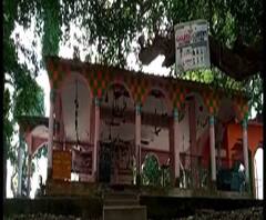 Reporter Stories: বুদবুদের কসবা চম্পাইতলার শিবমন্দিরে শৌচাগার, পানীয় জল ও স্থায়ী আচ্ছাদনের ব্যবস্থার দাবি স্থানীয় বাসিন্দাদের