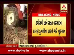 ભાવનગરઃ સતત વરસાદના કારણે ડુંગળીના પાકને ભારે નુકસાન, જુઓ વીડિયો