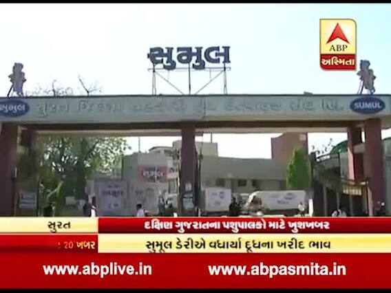 દૂધ ઉત્પાદકો માટે ખુશખબર, સુમુલ ડેરીએ દૂધના ખરીદી ભાવમાં કર્યો આવો મોટો વધારો, જુઓ વીડિયો