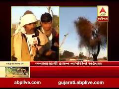 બનાસકાંઠાઃ વાવ અને થરાદમાં તીડનું આક્રમણ, ઉપદ્રવ રોકવા 80 ટીમો કામે લાગી