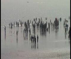 Reporter Stories: বড়দিনের মরসুমে বনভোজন আর সমুদ্রস্নানে সরগরম দিঘা