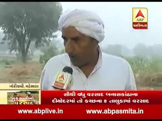 મહેસાણાઃ માવઠાથી ખેતીની દશા બગડી, શું કહી રહ્યાં છે બોરિયાવી ગામના ખેડૂતો, જુઓ વીડિયો