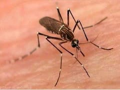ગુજરાતમાં ડેંગ્યૂનો કહેર યથાવાતઃ રાજકોટમાં કિશોરીનું મોત