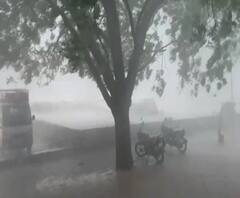 Rural News | माझं गाव माझा जिल्हा | गावाकडच्या बातम्यांचा वेगवान आढावा | ABP Majha 