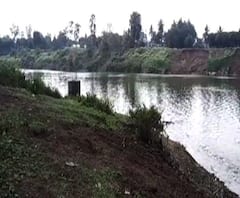 Krishna River | कृष्णा नदीच्या प्रदूषणावरुन सांगली महापालिकेला नोटीस | ABP Majha