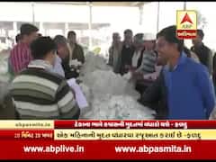 ટેકાના ભાવે કપાસની ખરીદીની મુદતમાં કરાશે વધારો, રાજ્ય સરકારે રજૂઆત કરી, જુઓ વીડિયો