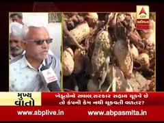 સુરેન્દ્રનગરના ખેડૂતોમાં પાક વીમા મુદ્દે ભારે આક્રોશ, જુઓ શું કહી રહ્યા છે ધરતીપુત્રો