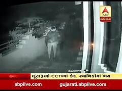 સુરતઃ વેડ ગામમાં લૂંટારું ટોળકી ત્રાટકી, લોકો જાગી જતાં ભાગ્યા