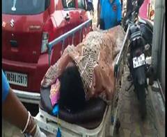 মুর্শিদাবাদে স্ক্রাব টাইফাসে মৃত্যু ২ জনের