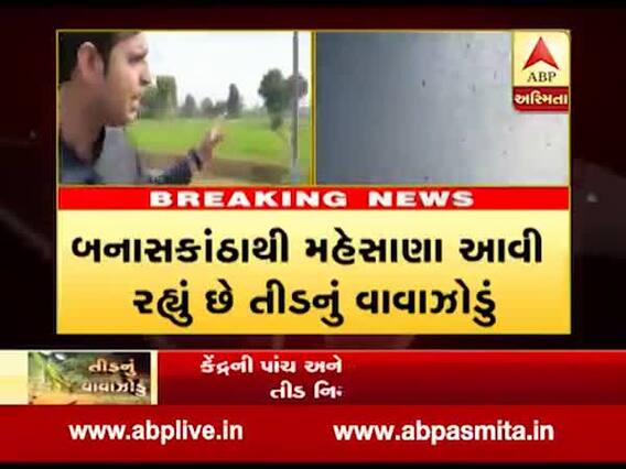 હવે તીડનુ આક્રમણ મહેસાણાના ખેતરોમાં, ખેડૂતોનો ઉભો પાક નિષ્ફળ, જુઓ વીડિયો