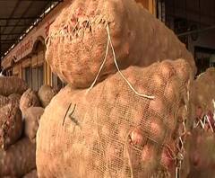 माझं गाव माझा जिल्हा | राज्याच्या कानाकोपऱ्यातील बातम्यांचा आढावा