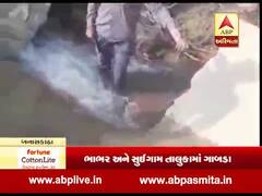 બનાસકાંઠાઃ નર્મદા કેનાલમાં ગાબડા પડવાનો સિલસિલો યથાવત,જુઓ વીડિયો