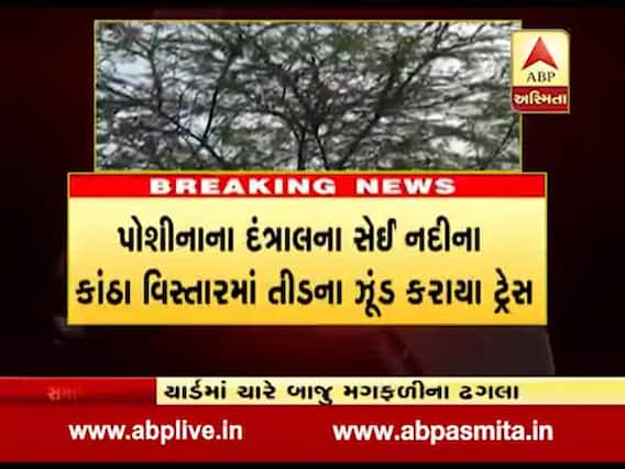 તીડનો હવે સાબરકાંઠામાં હાહાકાર, જુઓ વીડિયો 