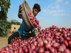 Retail inflation touches 5.54% in November; was 3.99% in Sept