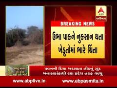 બનાસકાંઠા: તીડનું વાવાઝોડું સુઈ ગામ પહોંચ્યું, જુઓ વીડિયો