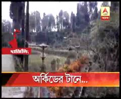 পাহাড়ের কোলে রঙের সমারোহ, দার্জিলিঙের তাকদার অর্কিড সেন্টার দেখতে ভীড় জমাচ্ছেন পর্যটকরা