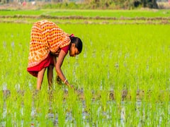 PMFBY में अहम बदलाव करने पर विचार कर रही है मोदी सरकार 