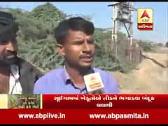 ભાભરના ચાતરા, ચલાદર, રૂની અને ઉચોસણ ગામમાં તીડનો આતંક, જુઓ વીડિયો