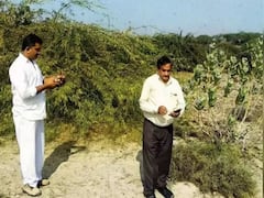 ગુજરાતમાં તીડનું ઓપરેશન સફળ હોવાનો સરકારનો દાવો, જુઓ વીડિયો