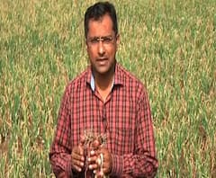 Explainer Video | कांद्याच्या किमती गगनाला भिडतायेत मात्र शेतकऱ्यांचे हात रितेच | ABP Majha