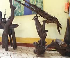 Spacial Report | काष्ठशिल्पाचं म्युझियम जपणारा रत्नागिरीचा अनोखा बर्डमॅन | ABP MAJHA 