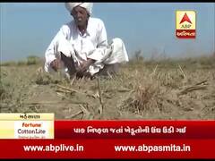 મુદ્દાની વાતઃ મહેસાણા જિલ્લાના ખેડૂતો કેમ ભરાયા રોષે? જુઓ ખાસ અહેવાલ