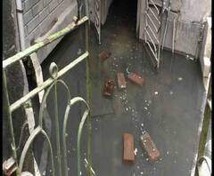 Reporter Stories: ব্যারাকপুরে বাড়ির সামনে জমা জল, বাড়ছে ডেঙ্গির আতঙ্ক