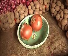 Reporter Stories: পেঁয়াজের পাশাপাশি এবার চড়ল আলুর দামও, কত হল জ্যোতি, চন্দ্রমুখী আলুর দাম?