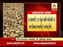 ટેકાના ભાવે મગફળીની ખરીદી વધારવા સહિતના મુદ્દે આજે મોનિટરિંગ સેલની બેઠક